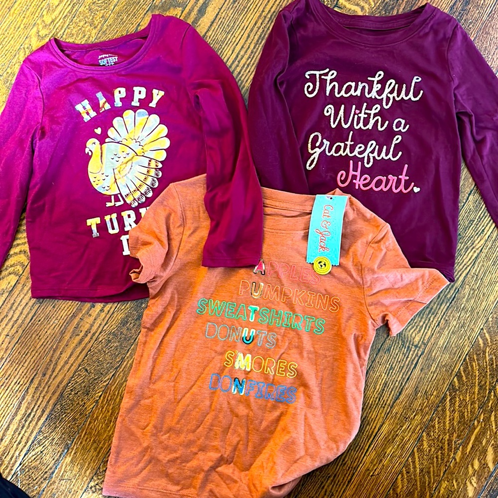 Lot of 3 Fall Tees 3T